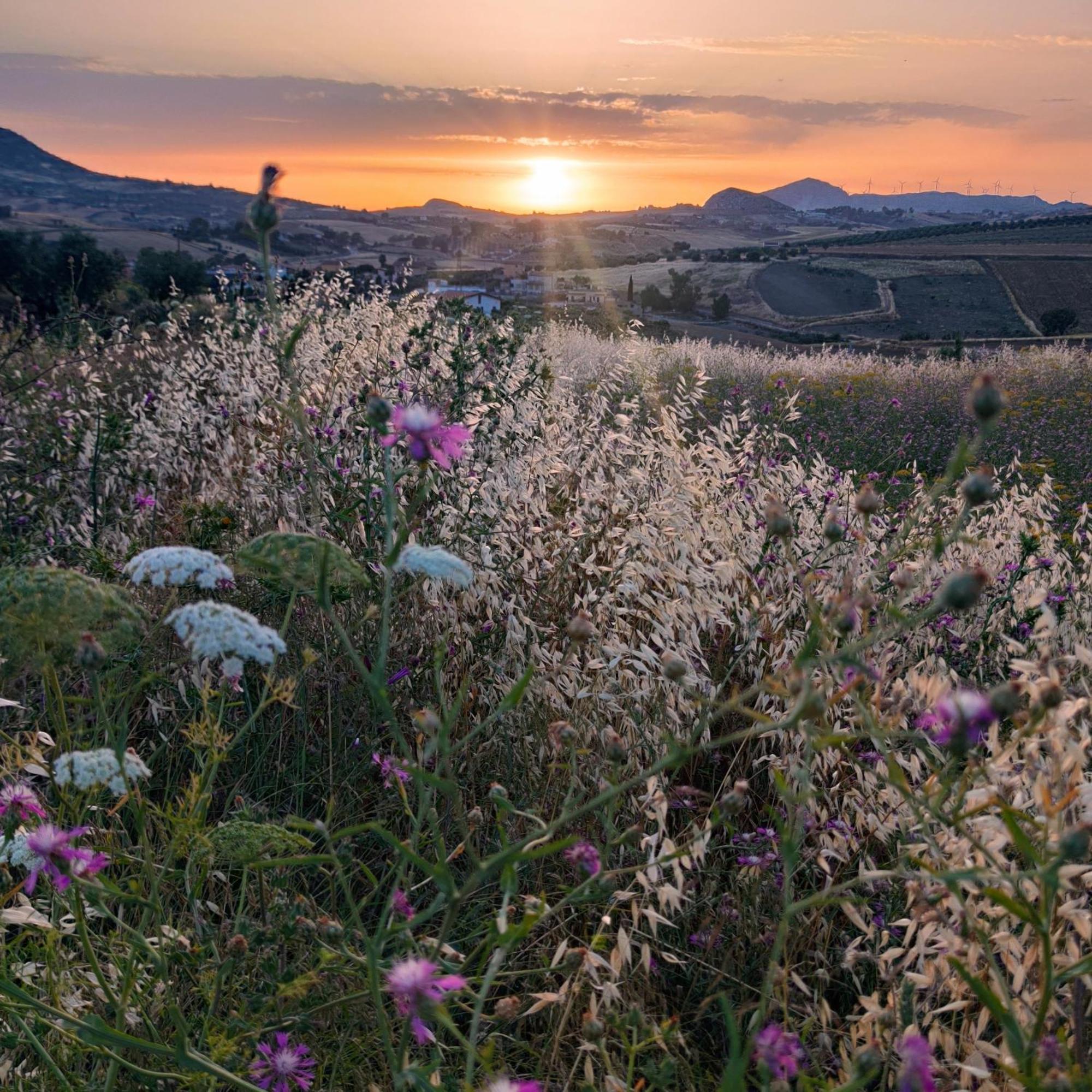 B&B Della Via Francigena Agrigento Kültér fotó