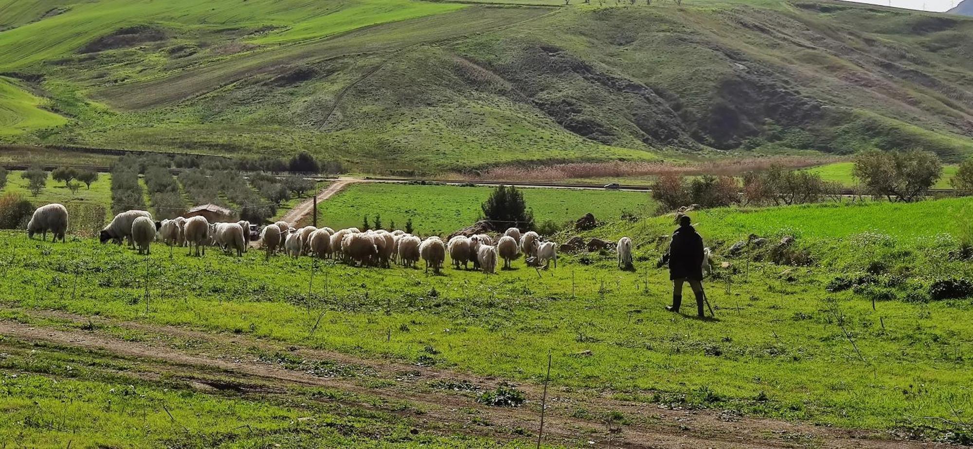 B&B Della Via Francigena Agrigento Kültér fotó